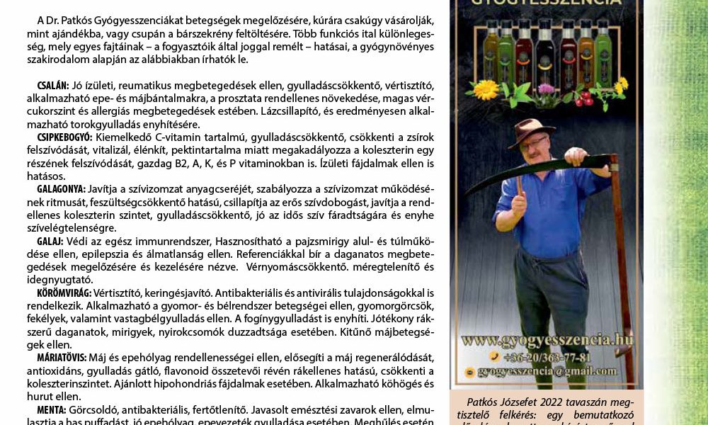 Cikk a Zöld újságban